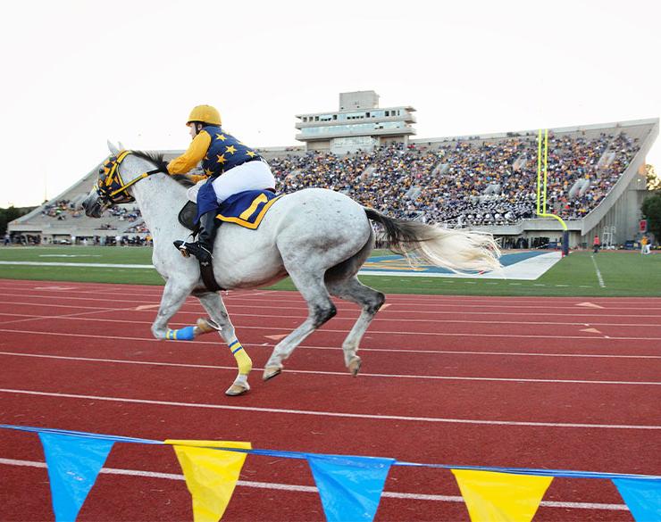 Racer One rounds the track at a football game