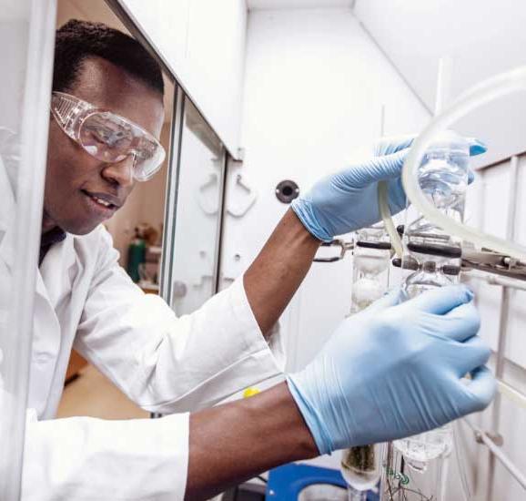 生物学学生在肯塔基州顶尖大学和学院的实验室工作